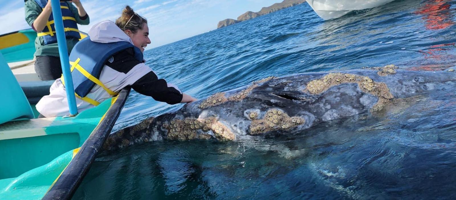 Hotel- Whale Tours And Sport Fishing Vista Mag-Bay Puerto San Carlos Chambre photo